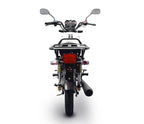 Big Boy Velocity Cargo 175