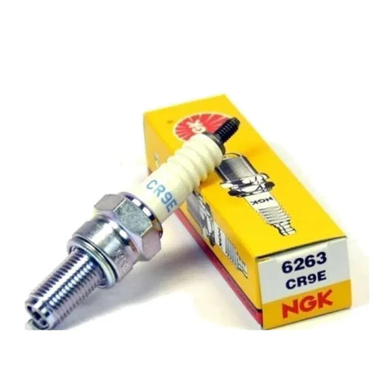 NGK CR9E Spark Plug