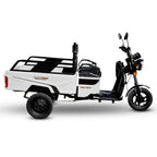 Big Boy Elec-Trike 800W